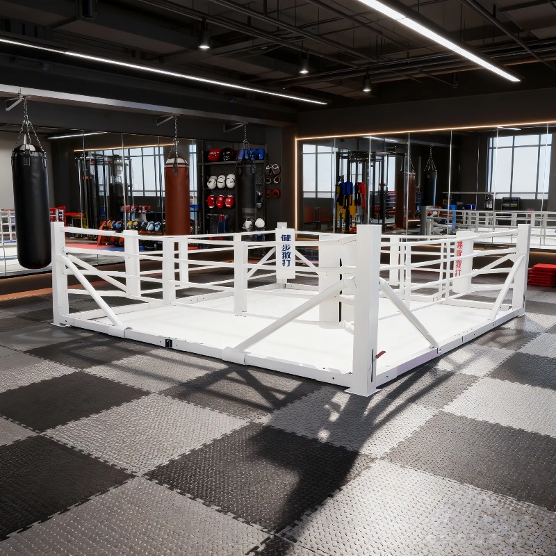 Foldable Gym Boxing Ring Set S - Home Gym Equipment Set review and price