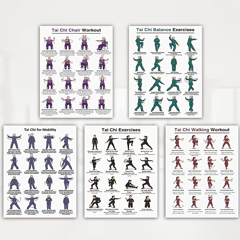 A4 Size 5pcs Tai Chi Workout S - Home Gym Routine review and price