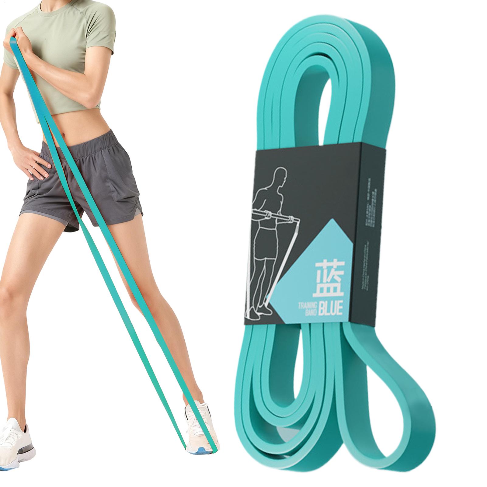 Workout Resistance Bands Elast - Home Gym Routine review and price